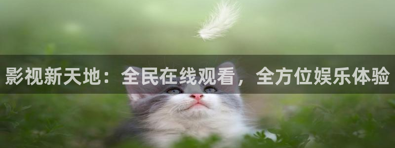 飘雪影视私人影院：影视新天地：全民在线观看，全方位娱乐体验