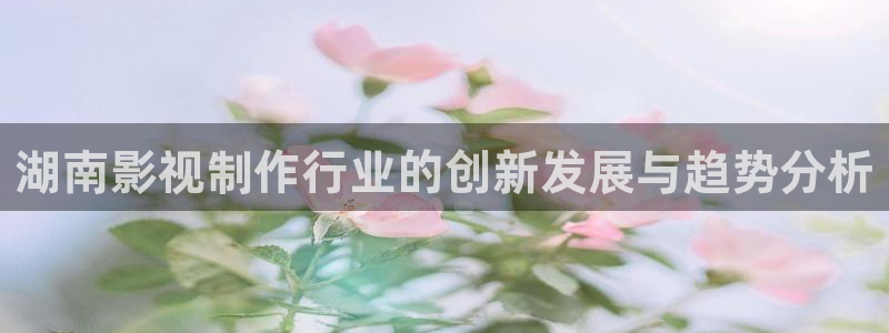 飘雪影院手机：湖南影视制作行业的创新发展与趋势分析