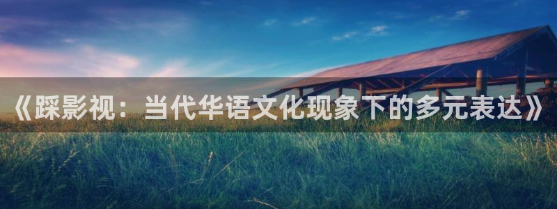 飘雪影院在线观看高清电影：《踩影视：当代华语文化现象下的多元表达》